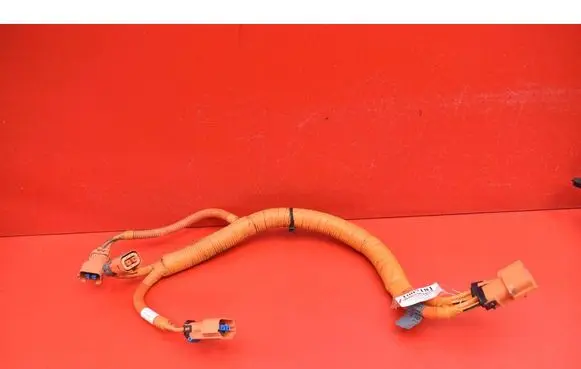 Other wiring loom