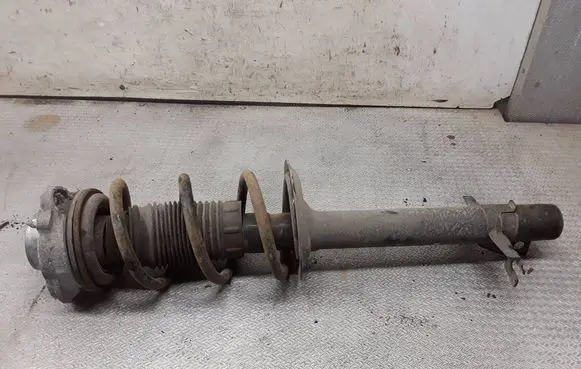 Fiat Ducato Front shock absorber with coil spring 