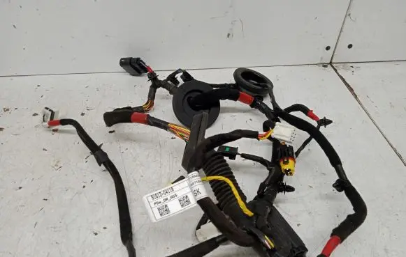 Hyundai i30 Front door wiring loom 91612-G4110