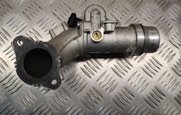 Renault Megane III Throttle valve 8200614985 259115271