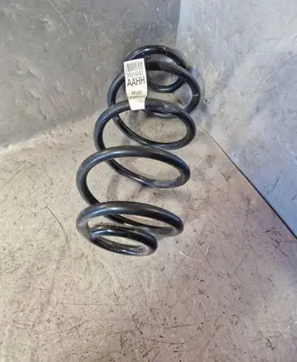 Chevrolet Aveo Rear coil spring 95216092 MJ25