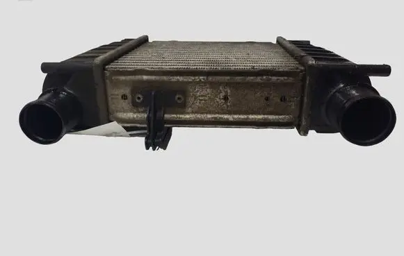 Renault Clio III Intercooler radiator 8200471885