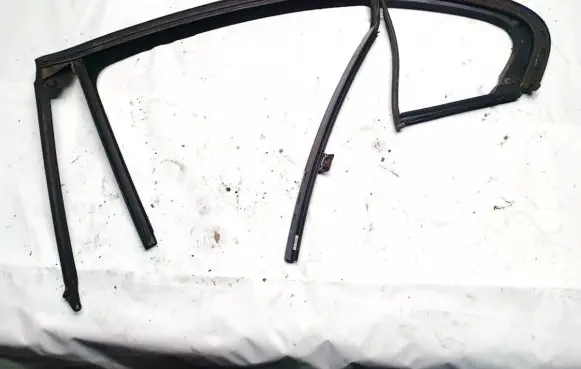 Opel Insignia A Rubber seal front coupe door 13228149