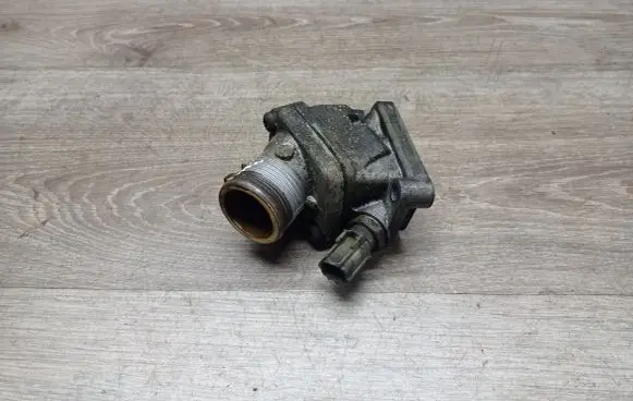 Thermostat/thermostat housing