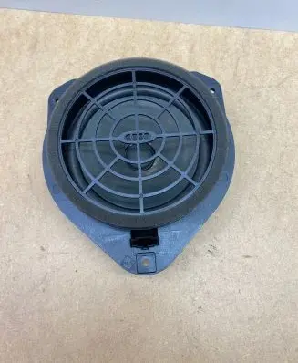 Rear door speaker