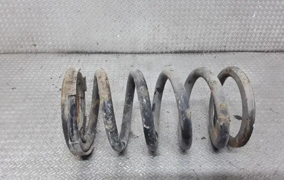 Mitsubishi Grandis Rear coil spring