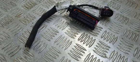 Porsche Cayenne (9PA) Other wiring loom 964843