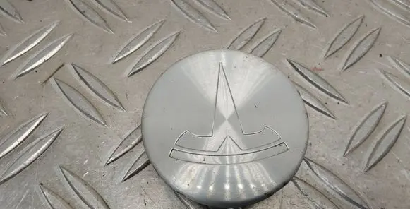 Tesla Model X Original wheel cap
