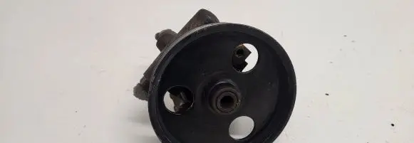 Renault Kangoo I Power steering pump 8200246248