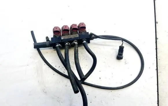 Hyundai Santa Fe LP gas injector 110r000040