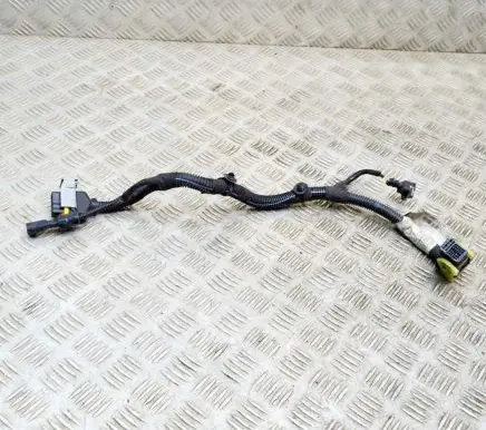 Maserati Quattroporte Other wiring loom 670007516