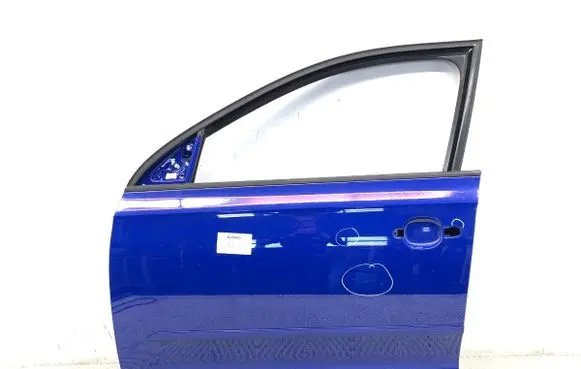 Skoda Rapid (NH) Front door 