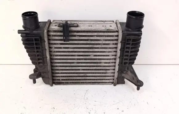 Nissan Juke I F15 Intercooler radiator 14461EM00A