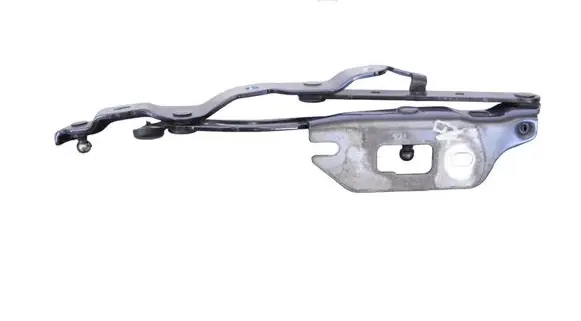 Volkswagen PASSAT CC Tailgate/trunk/boot hinge 8F0827301A