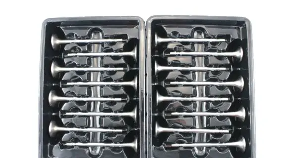 Volkswagen PASSAT B6 Valve 04L109601A