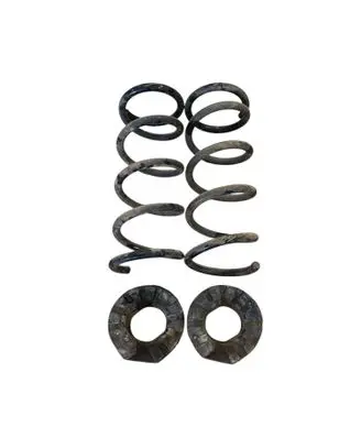 Rear coil spring