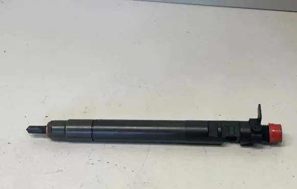 Ford Galaxy Fuel injector 9686191080