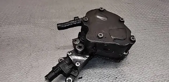 Volkswagen Golf Plus Vacuum pump 038145209K