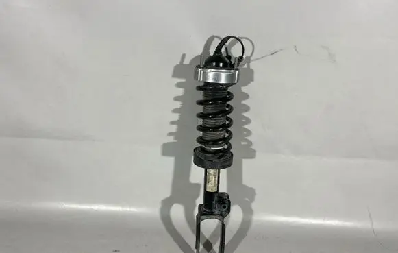 Porsche Cayenne (92A) Front shock absorber with coil spring 7P5413031AB