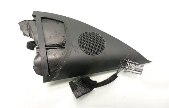Front door high frequency speaker