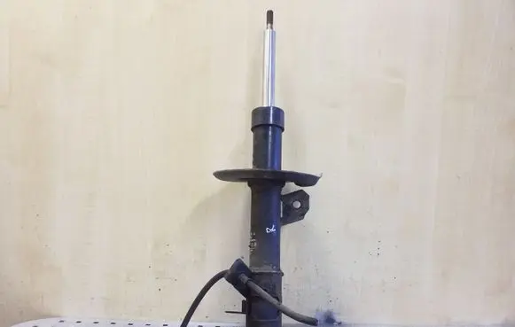 Nissan Qashqai Front shock absorber/damper 54302BR04A 824903008004