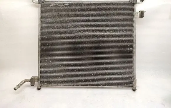Land Rover Range Rover Sport L494 Optional radiator FPLA8K230AA