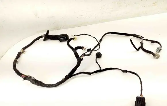 Front door wiring loom