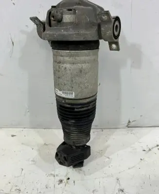 Porsche Cayenne (9PA) Rear shock absorber/damper 7L5616020G