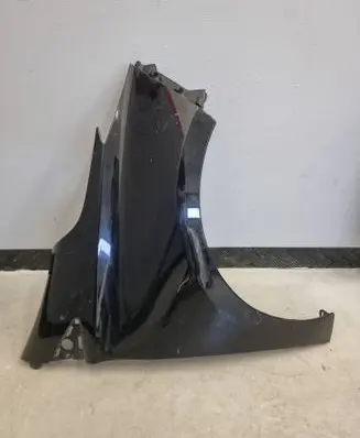 Renault Zoe Fender