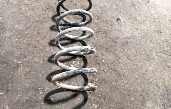 Rear coil spring