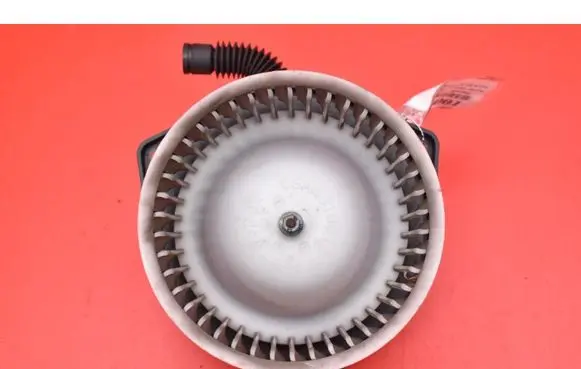 Heater fan/blower