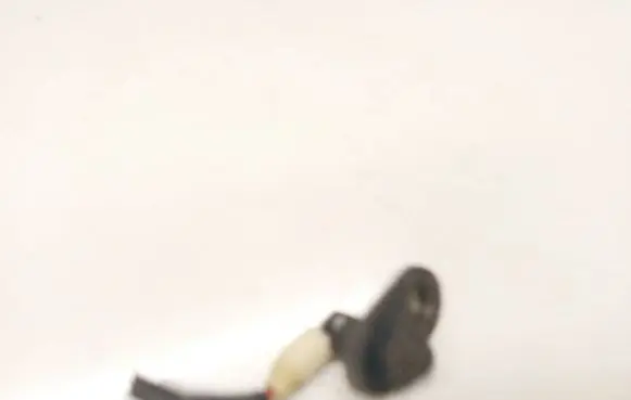 Toyota Corolla Verso AR10 Front door sensor 