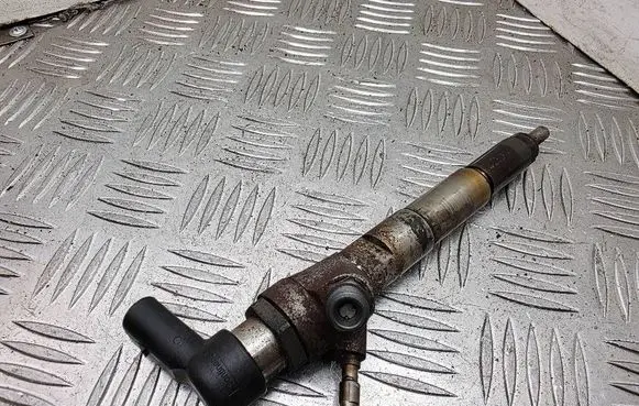 Nissan Juke I F15 Fuel injector H8201100113 166006212R