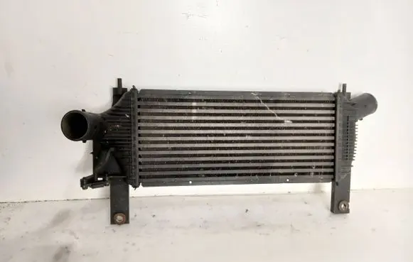 Nissan Pathfinder R51 Intercooler radiator 14461EB360 F6864