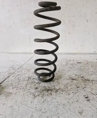 Rear coil spring