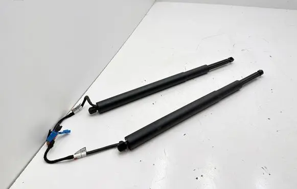 BMW 5 G30 G31 G38 Tailgate/trunk strut/damper 7390410 C63803111 017100415143