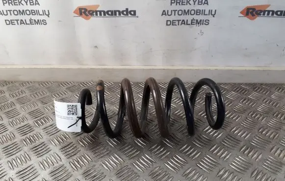 Rear coil spring