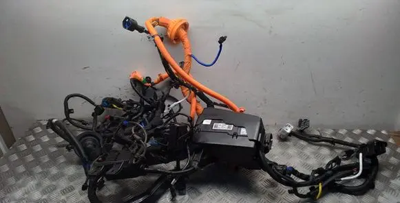 KIA EV6 Other wiring loom 91850CV010