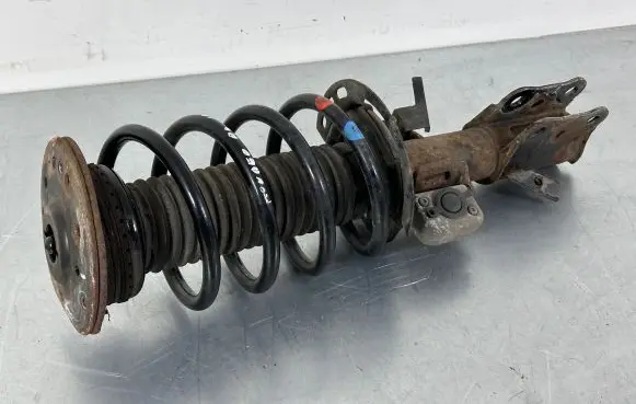 Ford Mondeo MK V Front shock absorber with coil spring DG9C18K001