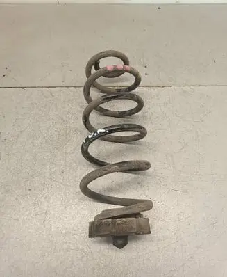 Rear coil spring