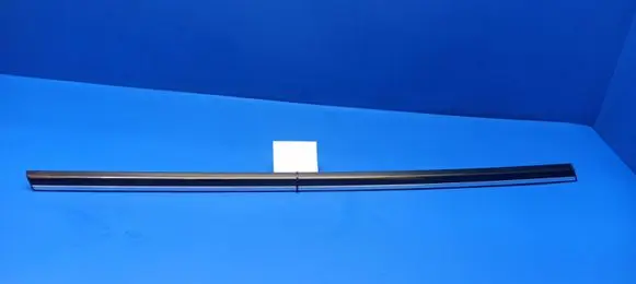 Rear door glass trim molding
