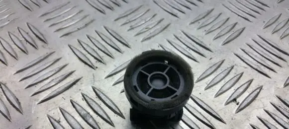 Front door high frequency speaker