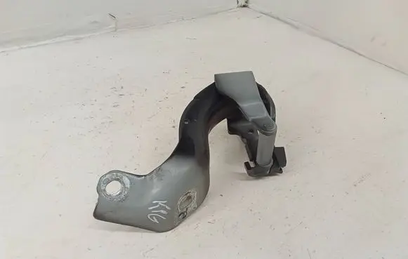 Tailgate/trunk/boot hinge