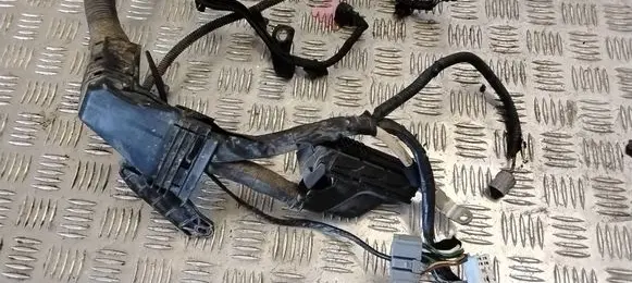 Toyota RAV 4 (XA30) Engine installation wiring loom