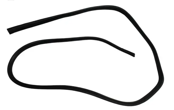 Chrysler Pacifica Front door rubber seal