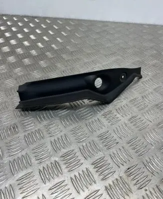 Rear/tail light trim molding
