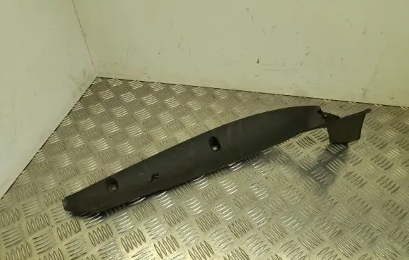 Fender trim (molding)