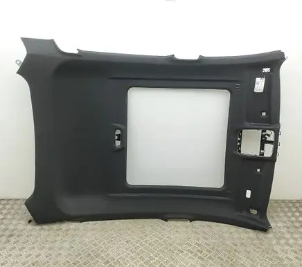 BMW X6 G06 Headlining 9874484 9874482