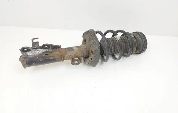 Opel Insignia A Front shock absorber with coil spring 13245976 E4612101 367327926