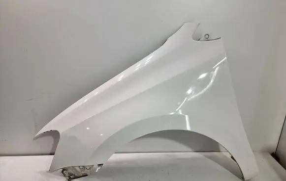 Volkswagen Polo V 6R Fender